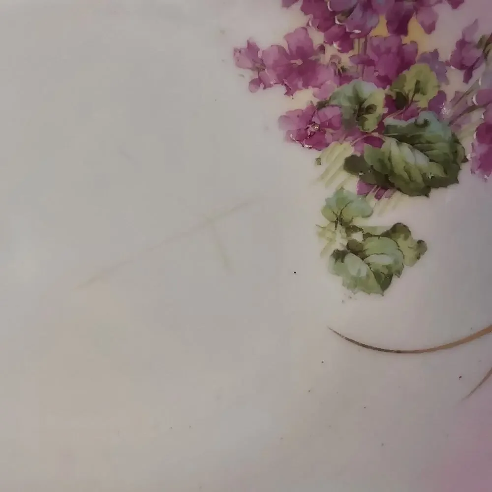 Antique Hand Painted Pink & Gold Floral 9